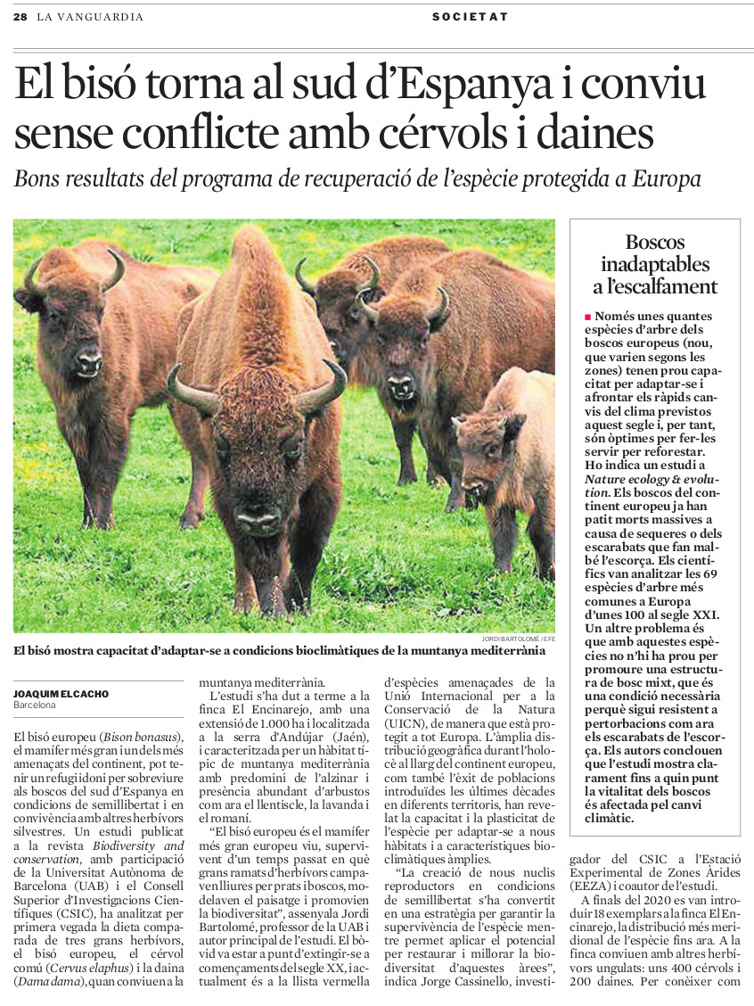 Article del diari La Vanguardia sobre els bisons europeus