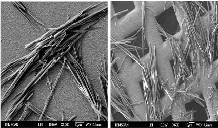 Imatges de Microscòpia Electrònica d'Escombrat